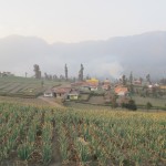 Landscape around Bromo san 2