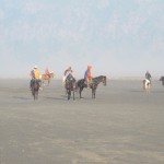 Landscape around Bromo san 2