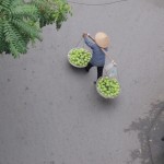 Fruit baskets in Hanoi