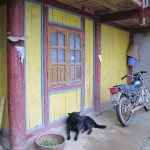 Dog guarding the moto